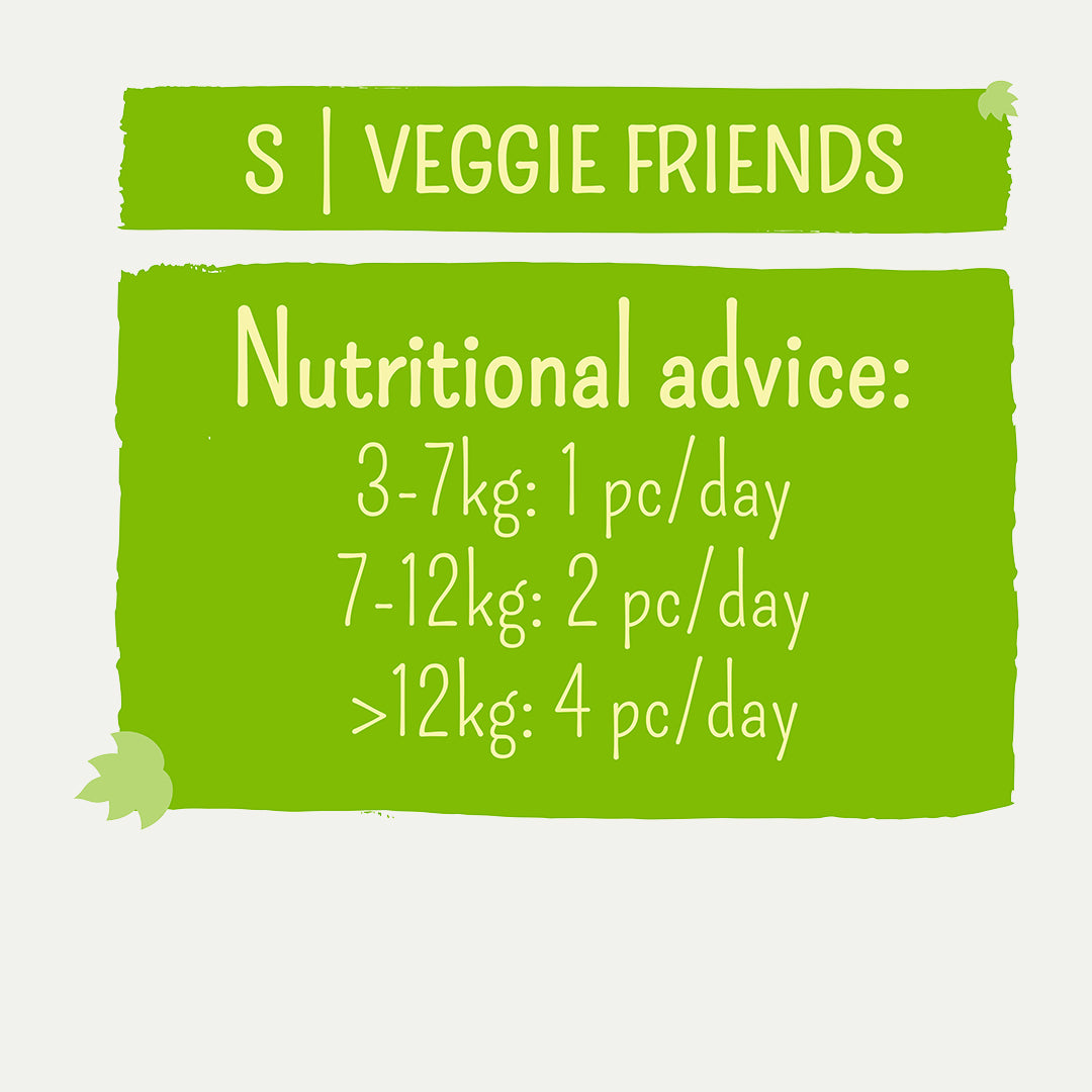 garden-bites-veggie-friends