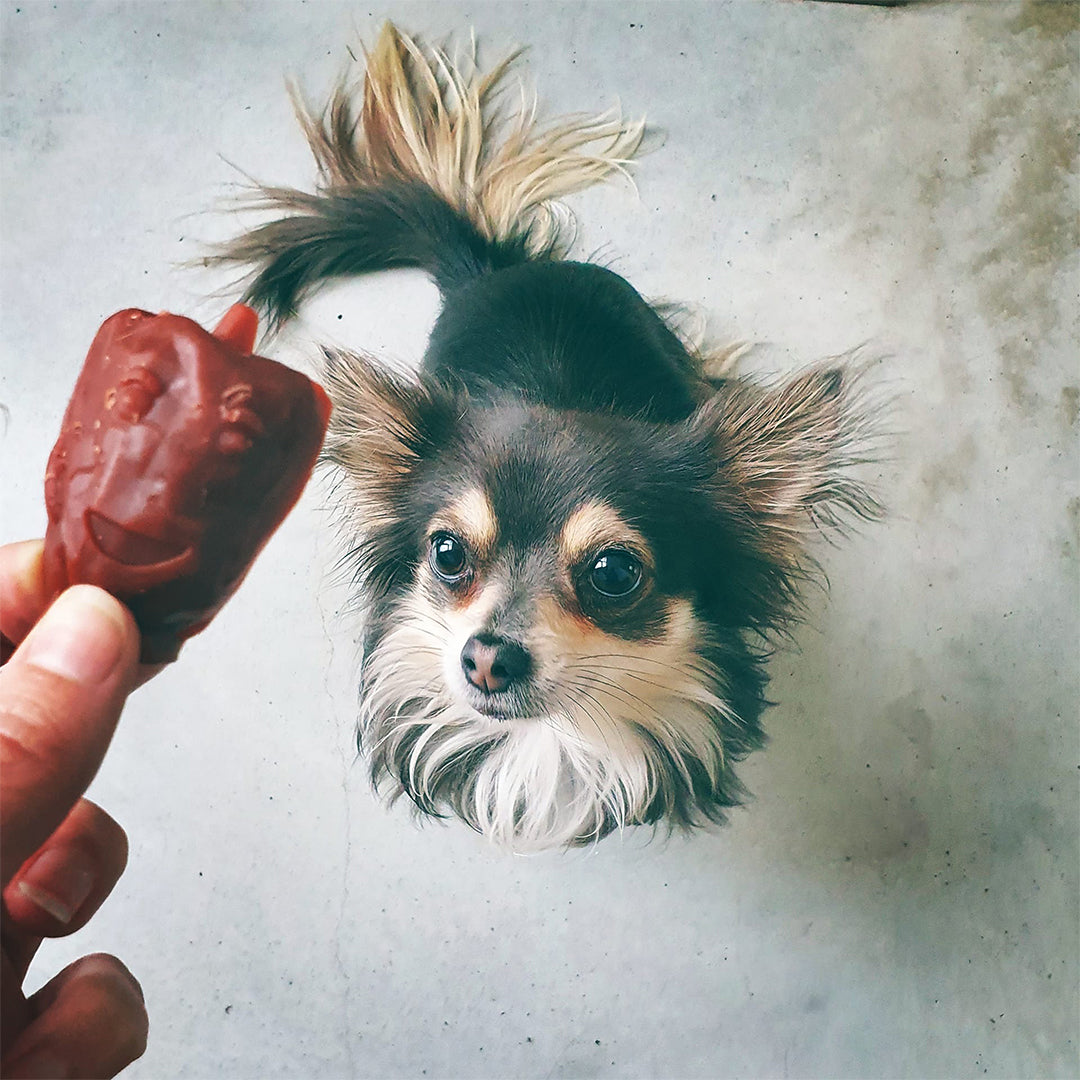 garden-bites-veggie-friends