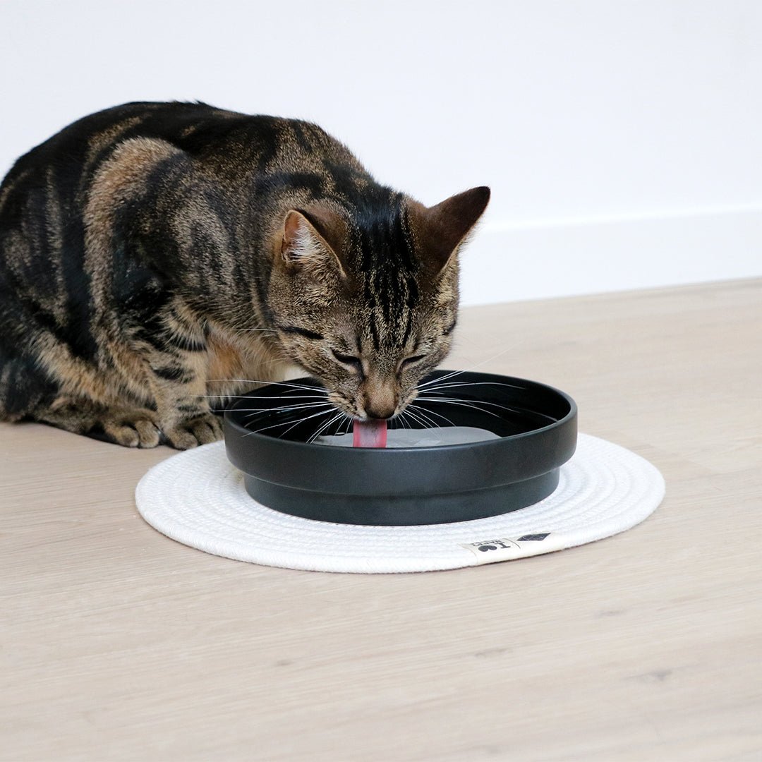 ACE - Drinkkom Kommen & schaaltjes D&D Home - I LOVE Happy Cats