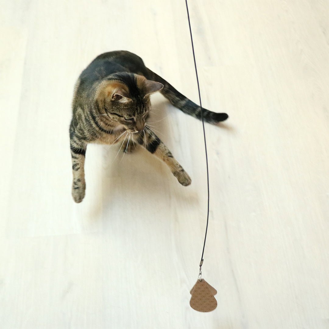 CONNOR - Telescopische hengel Kattenspeelgoed D&D Home - I LOVE Happy Cats