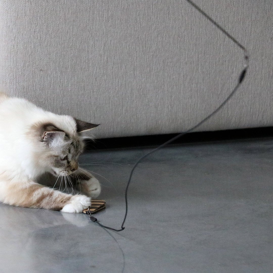 CONNOR - Telescopische hengel Kattenspeelgoed D&D Home - I LOVE Happy Cats