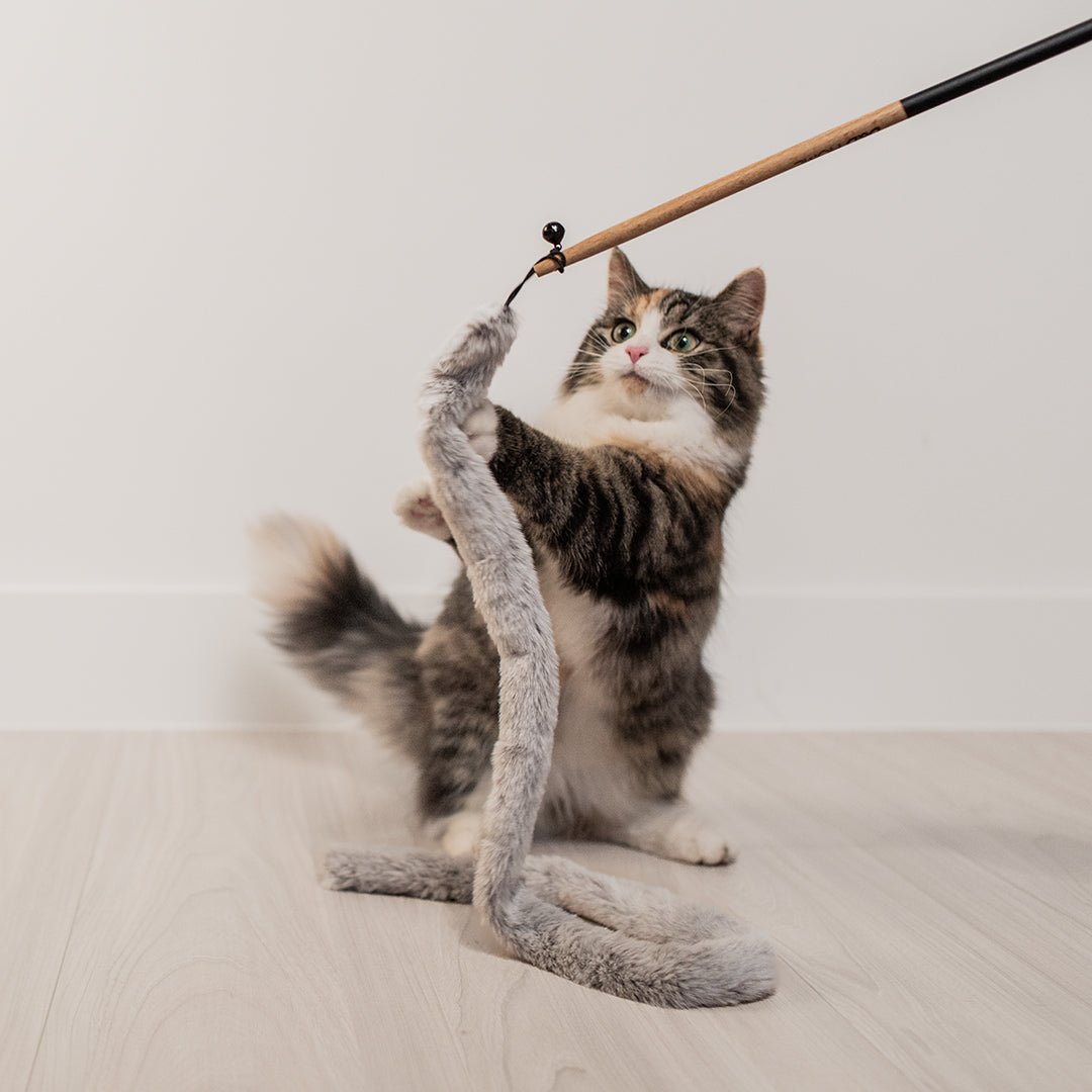 Lovi kattenhengel Kattenspeelgoed D&D Home