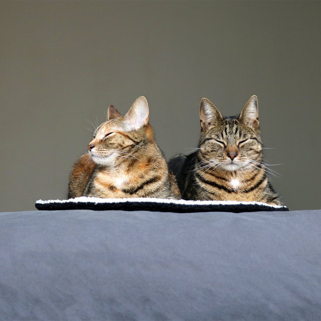 MAEVE - Rond dekentje Kattenmanden D&D Home - I LOVE Happy Cats