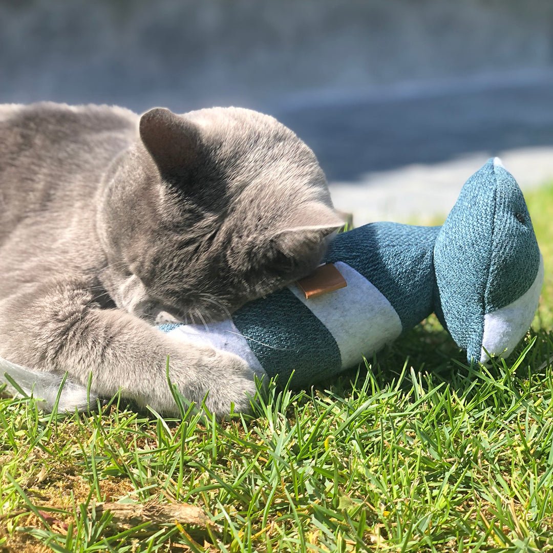Rocco trappelkussen Kattenspeelgoed D&D Home