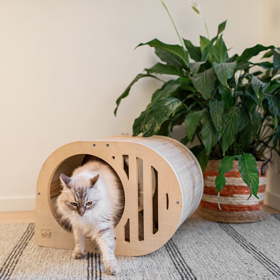 Tara kattenhuisje Kattenhuisjes Ebi