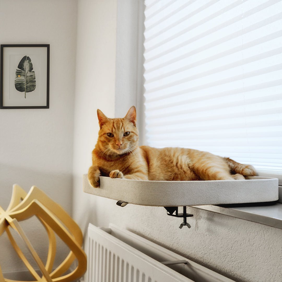 Hoe kies ik de perfecte kattenmand? - Design for pets