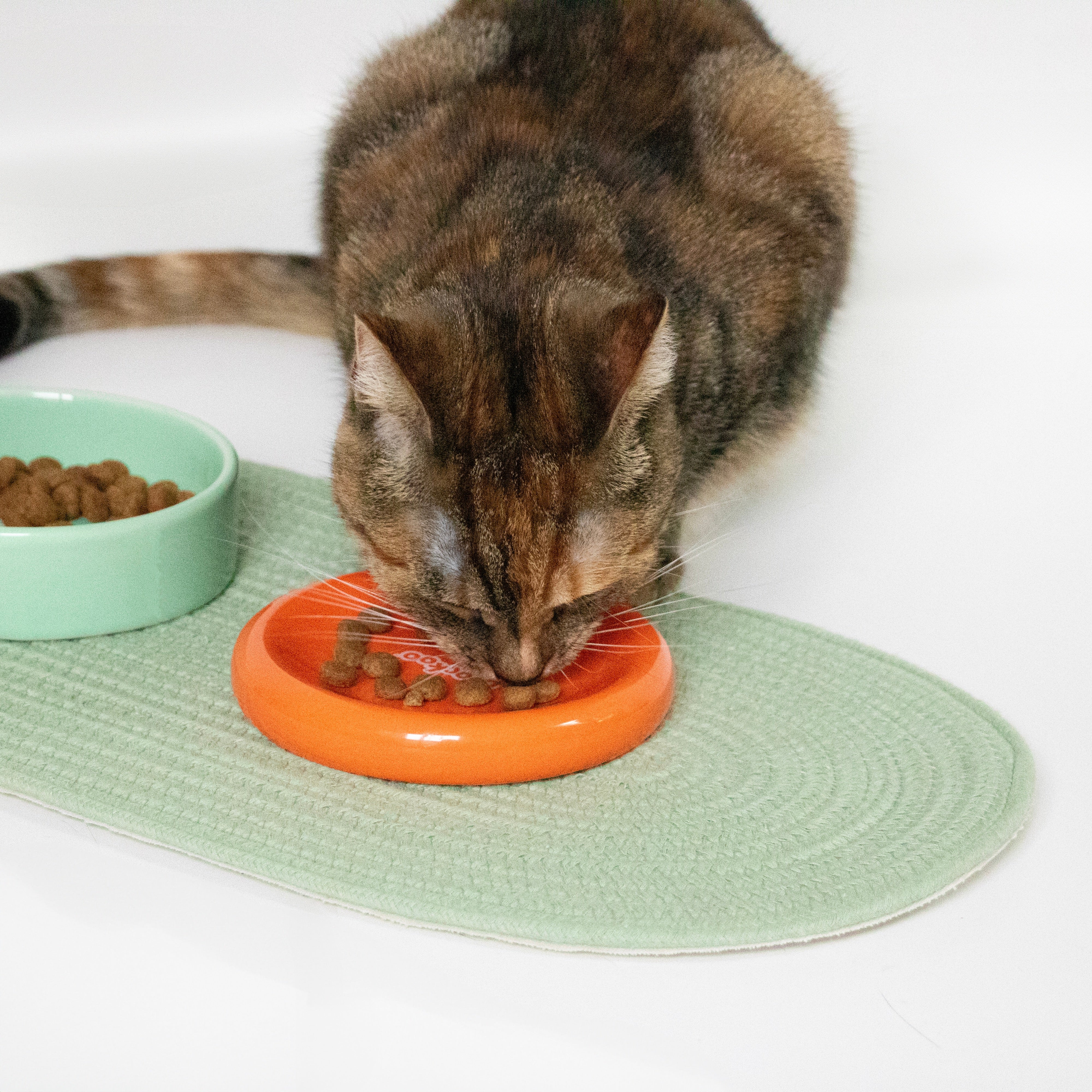 Eetkom FUNKY FEEDING