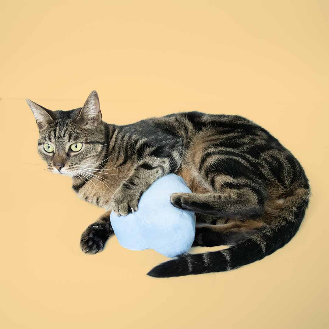 Trappelkussen HEAD IN THE CLOUDS