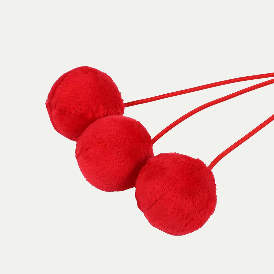 Kattenspeeltje TWISTER