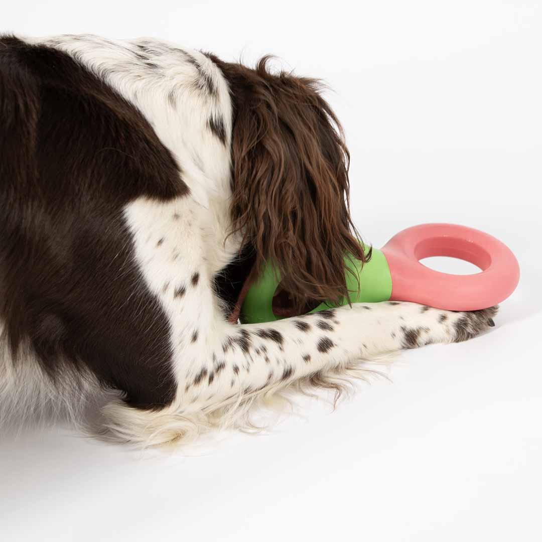 Hondenspeeltje DOODLE