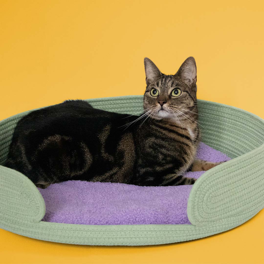 XL kattenmand LAZY LOUNGE