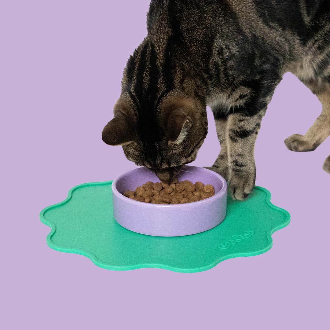 Placemat SPILL THE TEA rond