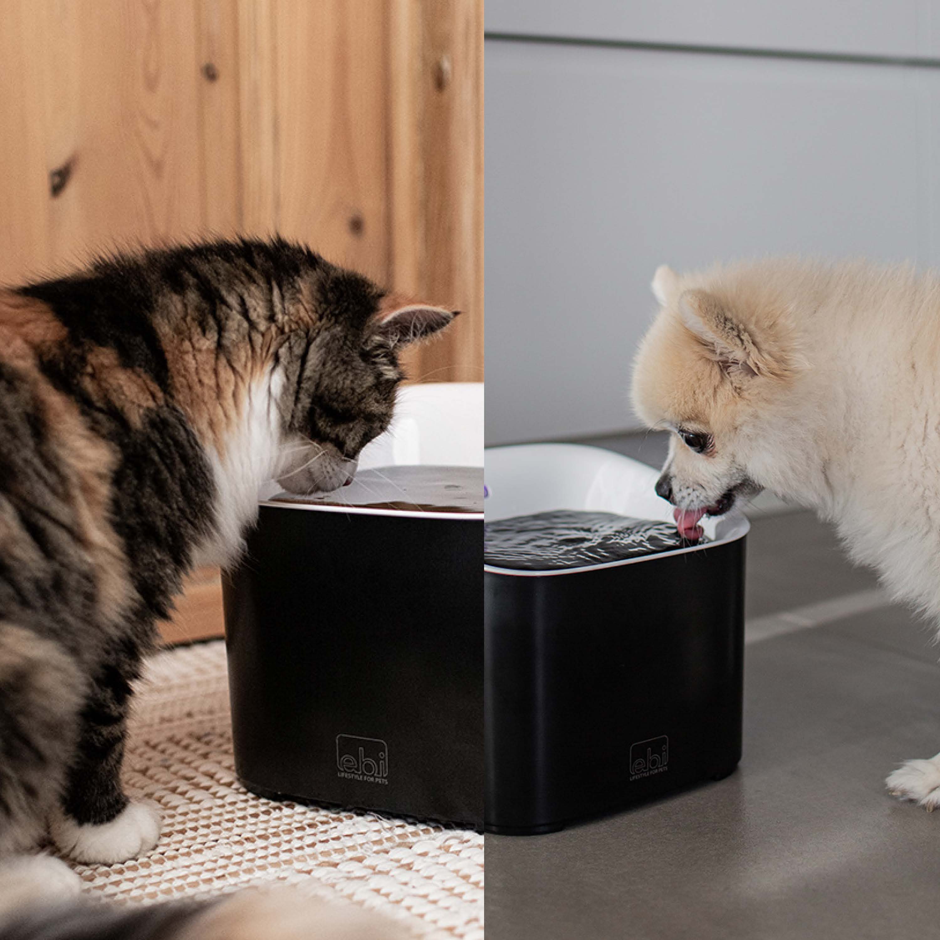 Manoa drinfontein - zwart