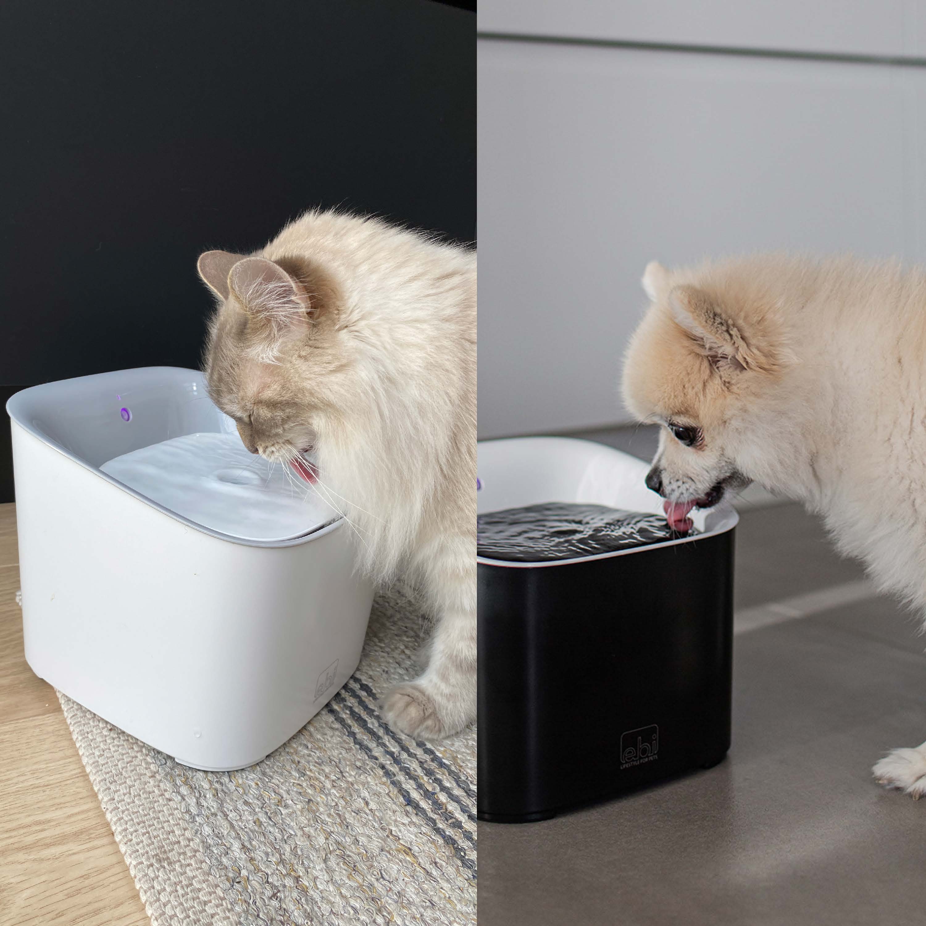 Manoa drinfontein - wit