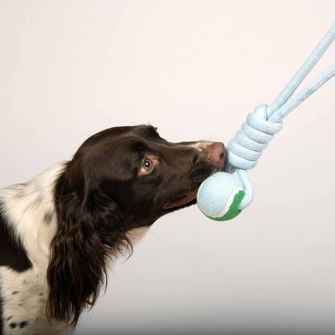 Ball with rope loop SWING ME Hondenspeelgoed Coockoo