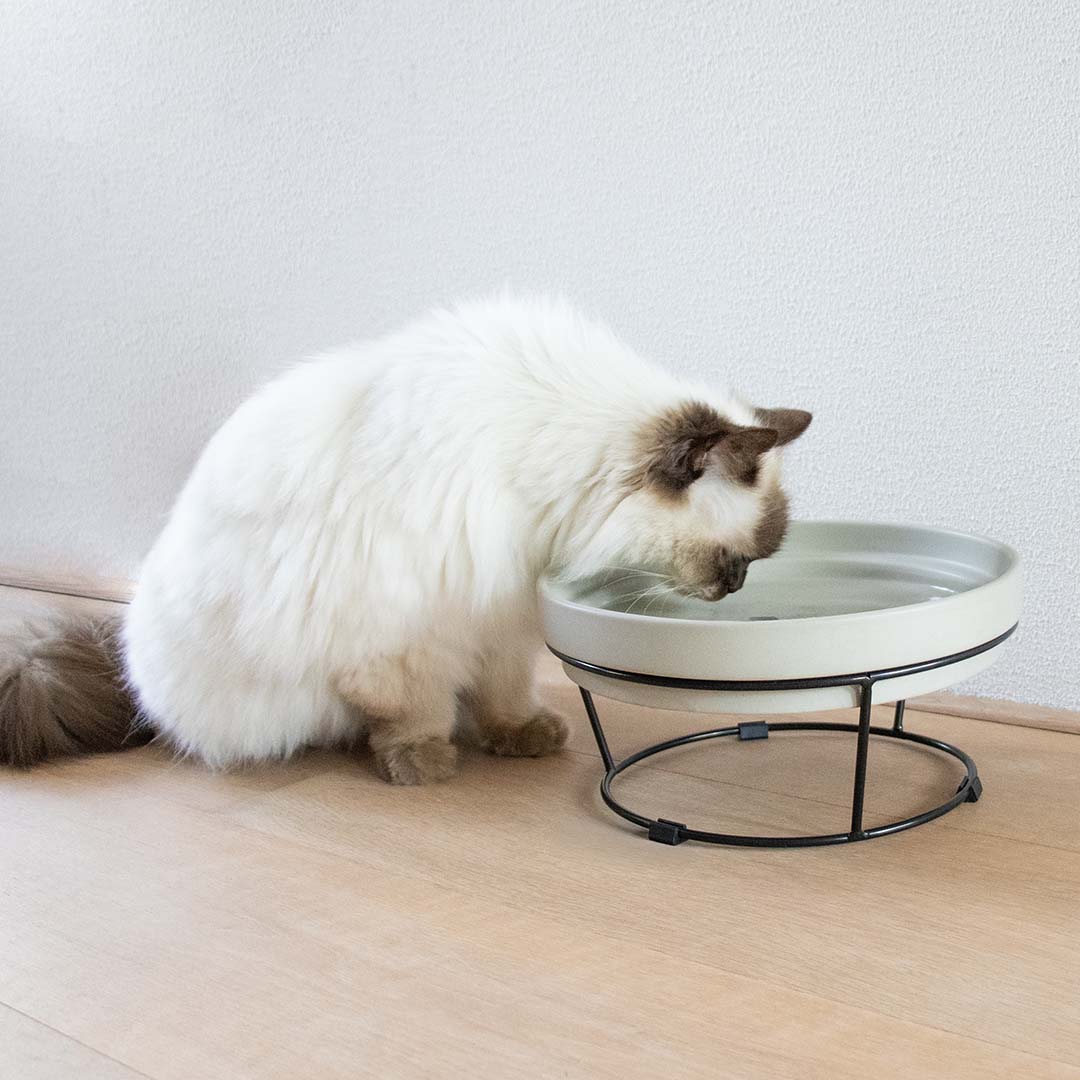 DASH - Schaalverhoger Accessoires D&D Home - I LOVE Happy Cats