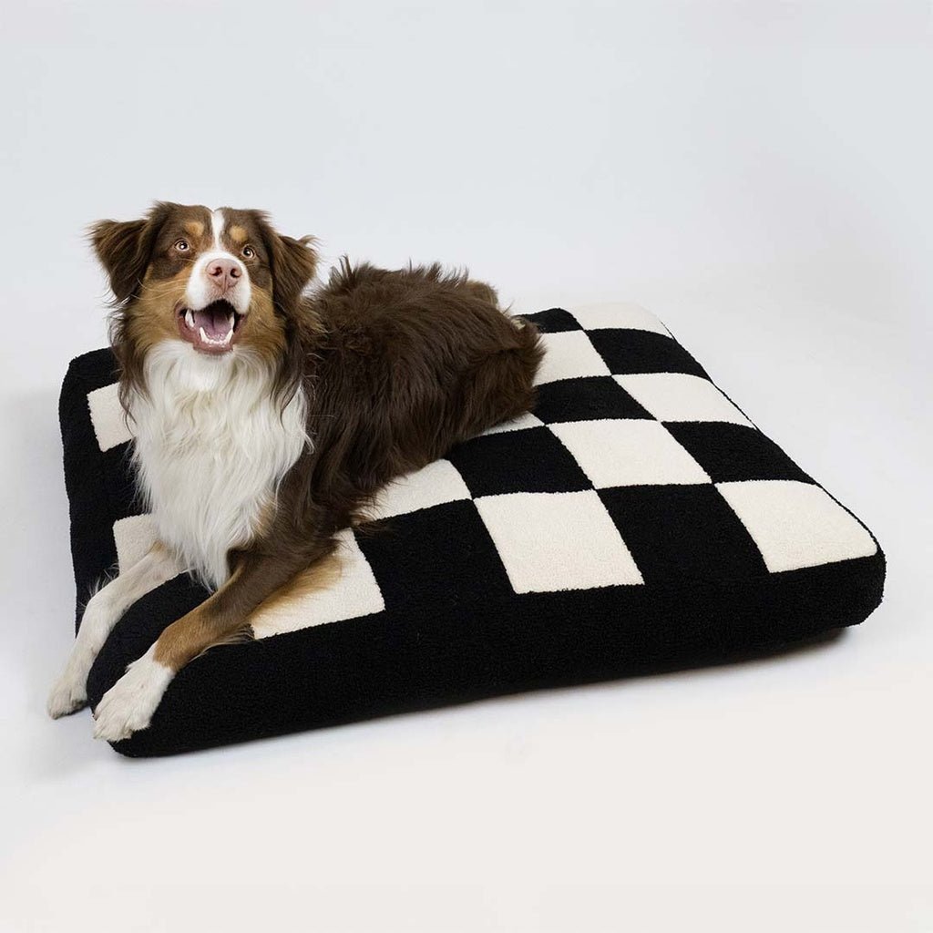 Hondenkussen COZY BLOCK Kussens Coockoo