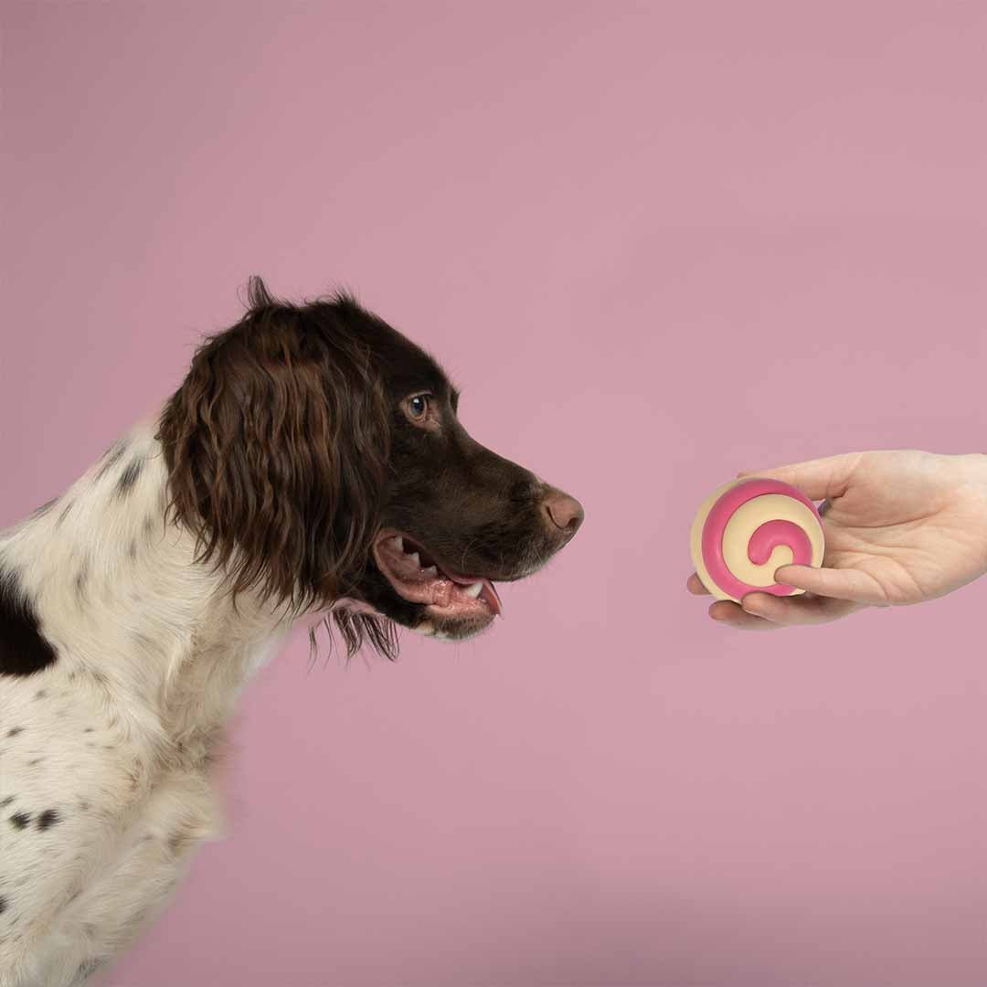 Hondenspeeltje BERRY SWIRL Hondenspeelgoed Coockoo