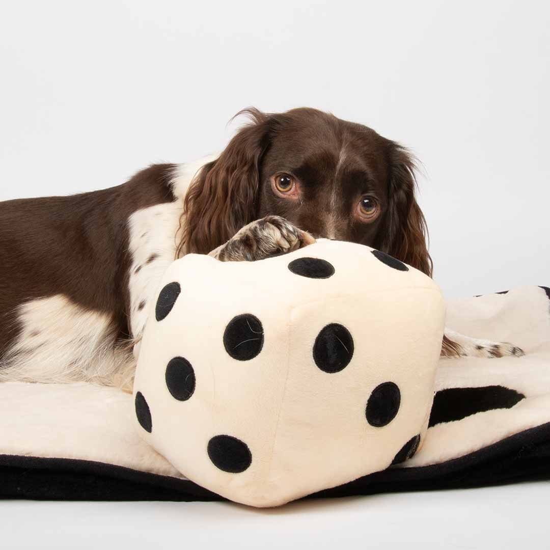 Hondenspeeltje ROLL THE DICE Hondenspeelgoed Coockoo