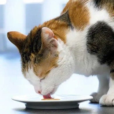 Ijsjes vorm Snackspeelgoed Cat it
