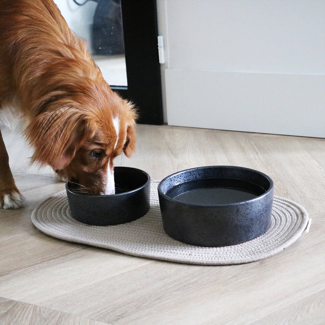 Jasper kom hond - zwart Kommen & schaaltjes D&D Home