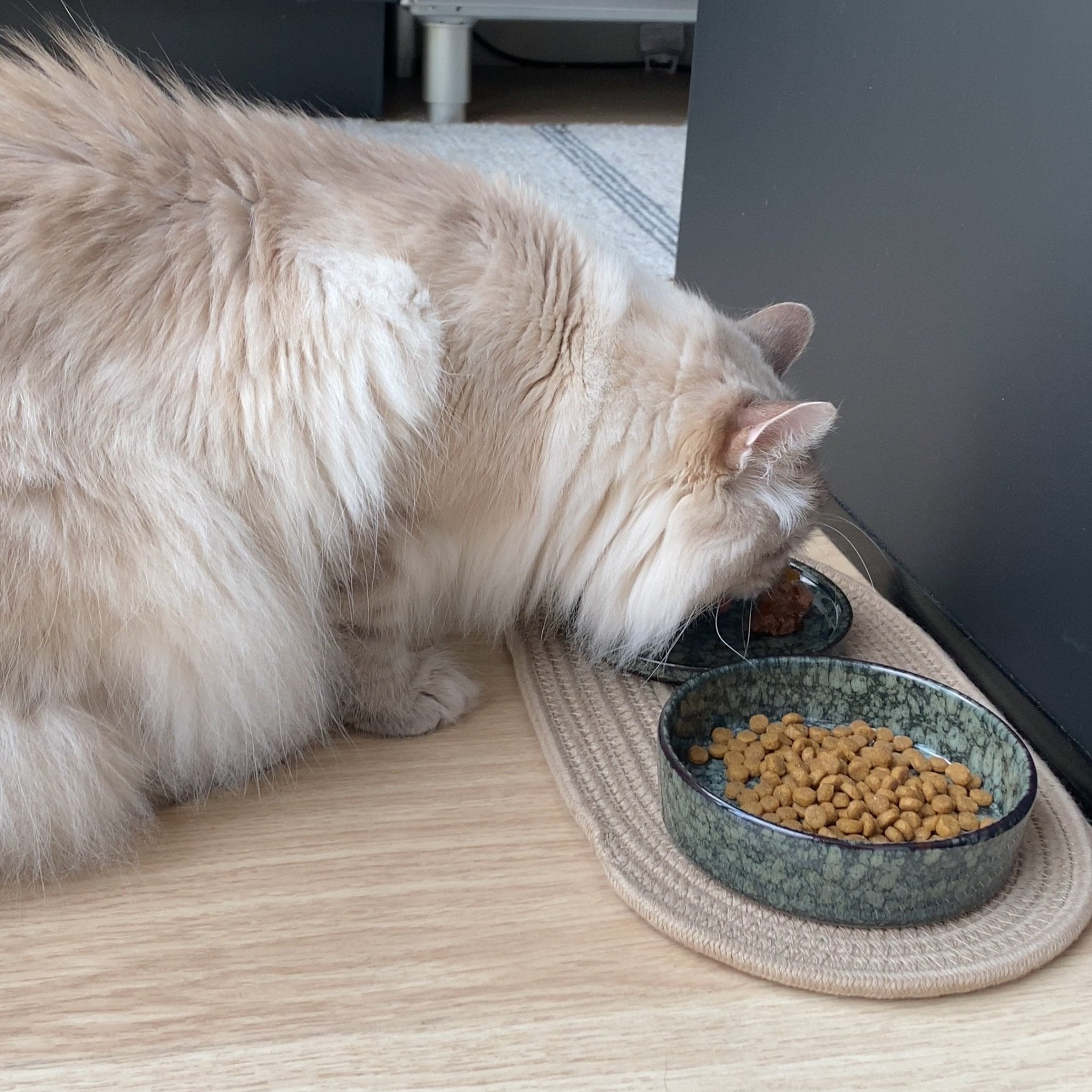 Jasper kom kat Kommen & schaaltjes D&D Home