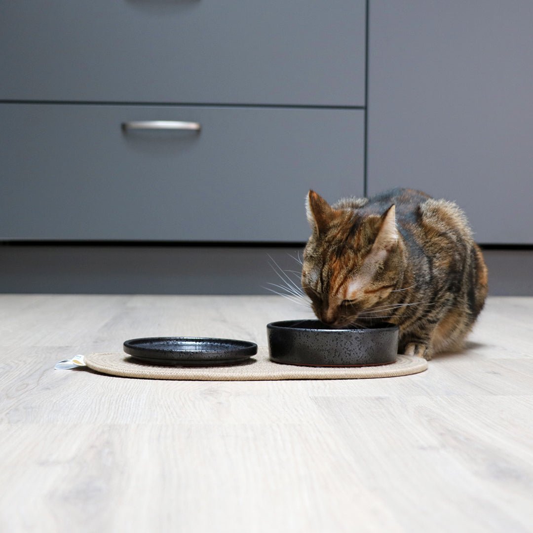 Jasper kom kat Kommen & schaaltjes D&D Home