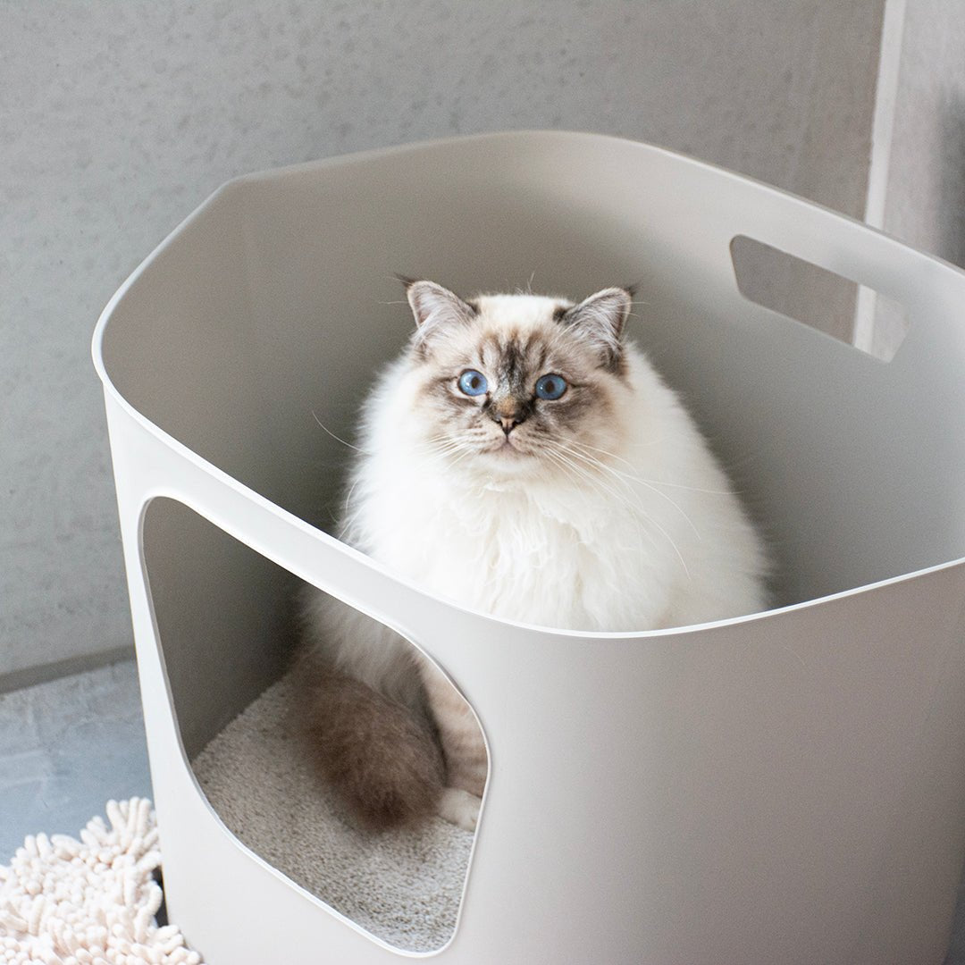 Kattenbakset Dean Kattenbak D&D Home - I LOVE Happy Cats