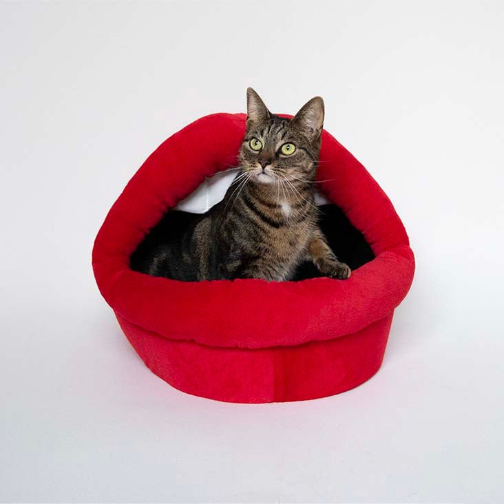 Kattenhuisje Meow mond Kattenhuisjes Coockoo