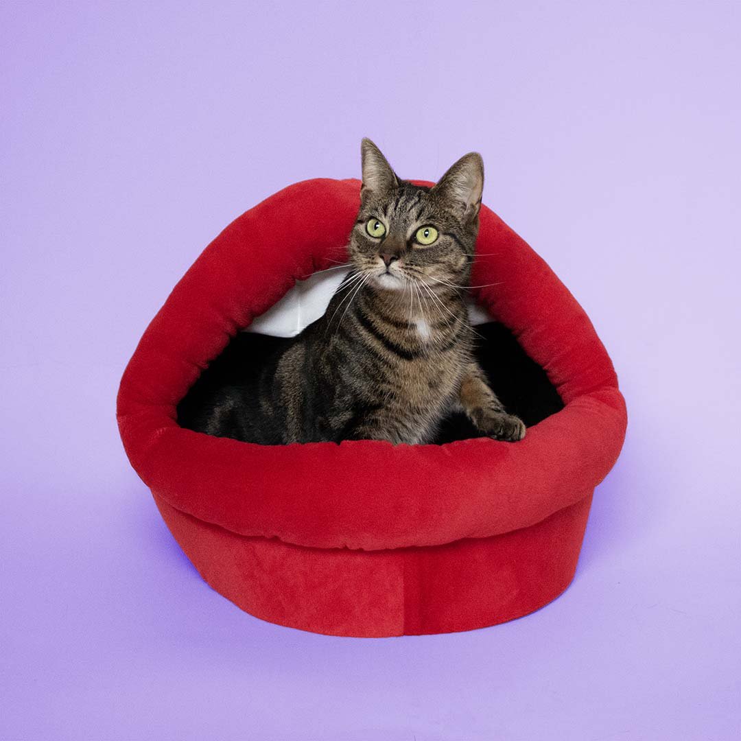 Kattenhuisje Meow mond Kattenhuisjes Coockoo