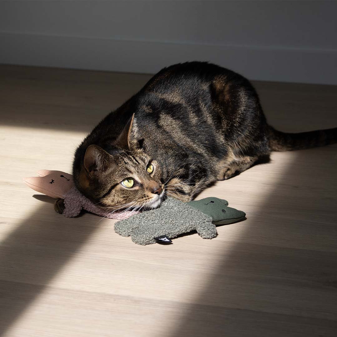 Kattenspeeltje ALFIE XL Kattenspeelgoed D&D Home - I LOVE Happy Cats