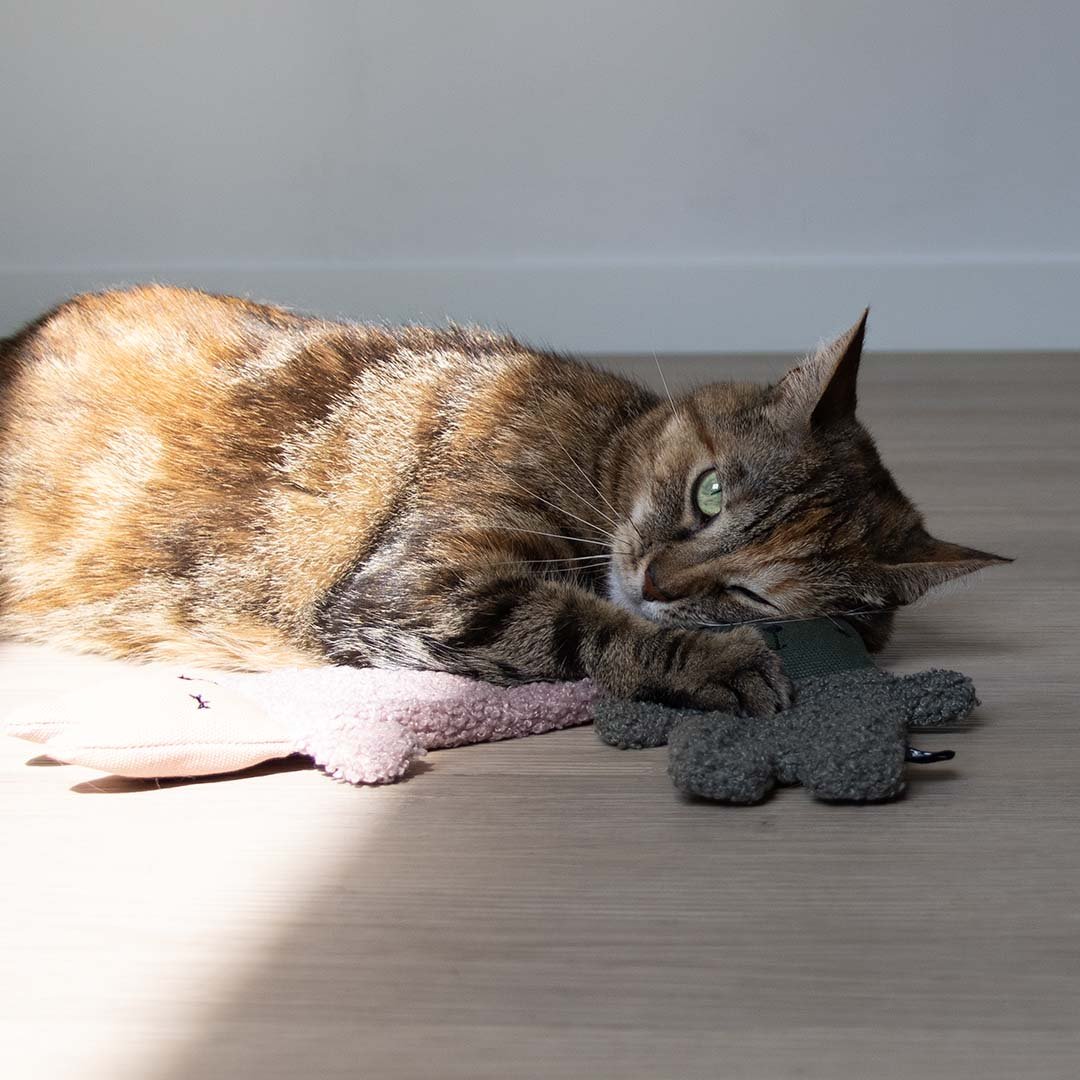 Kattenspeeltje ALFIE XL Kattenspeelgoed D&D Home - I LOVE Happy Cats
