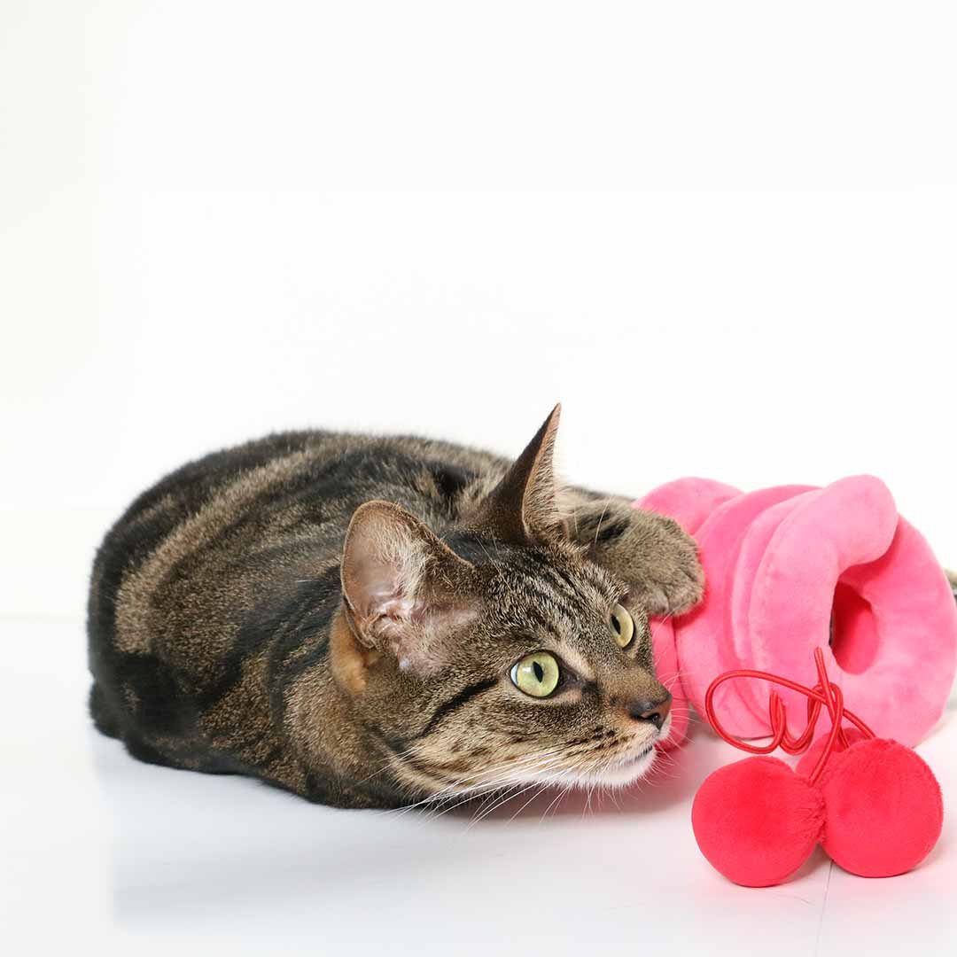 Kattenspeeltje TWISTER Kattenspeelgoed Coockoo