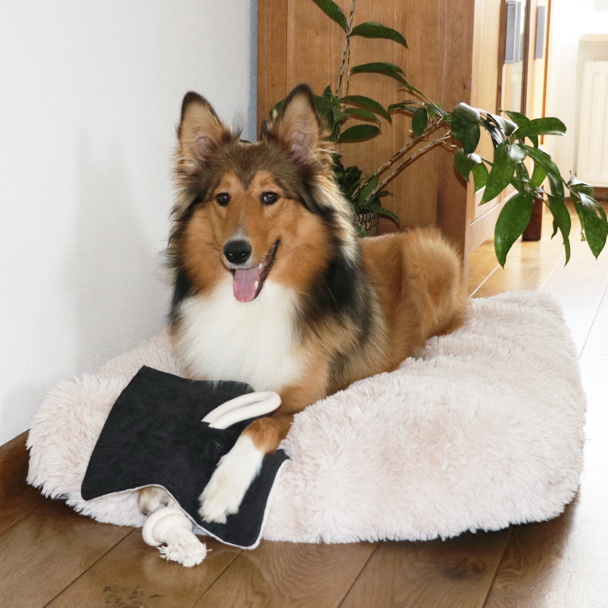 Knuffeldoekje Snoozi Hondenspeelgoed D&D Home