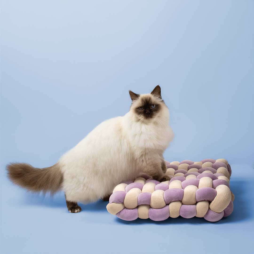 Kussen Velvet Vibe Kattenmanden Coockoo