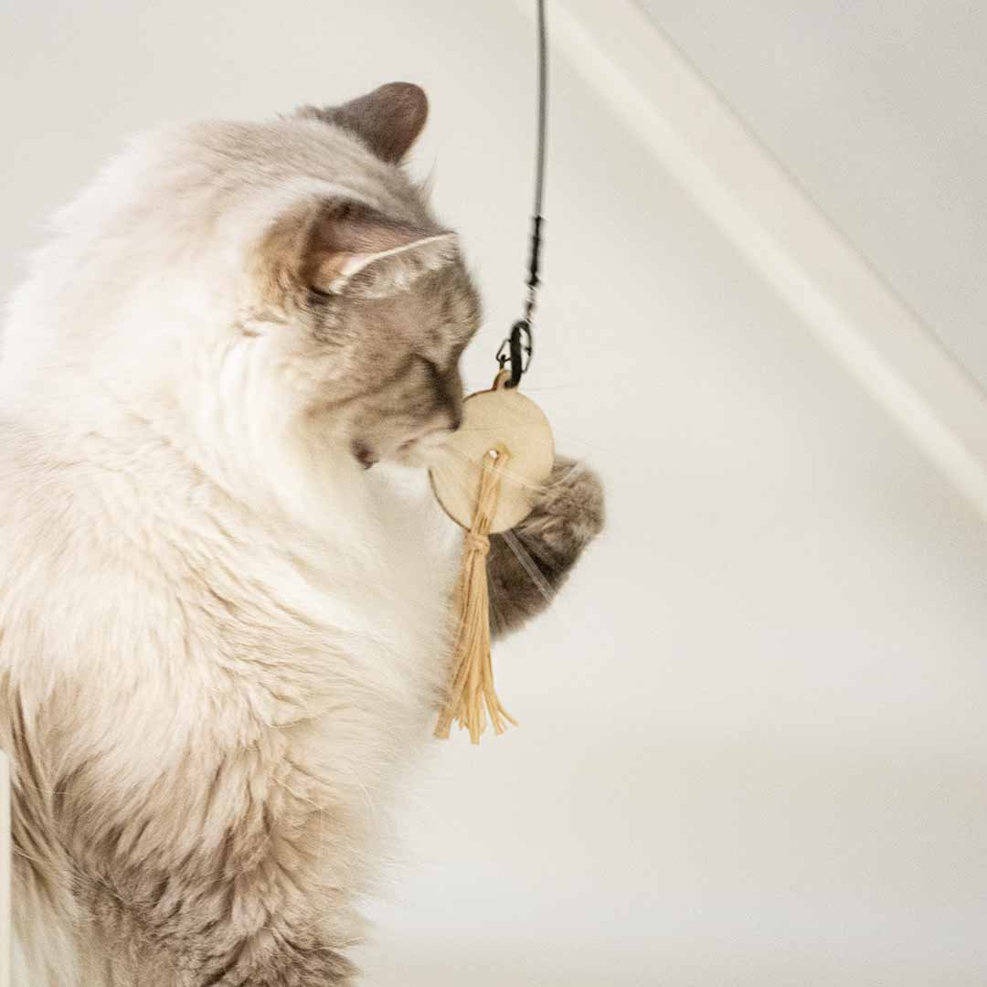 MIRA - ring met wol Kattenspeelgoed D&D Home - I LOVE Happy Cats