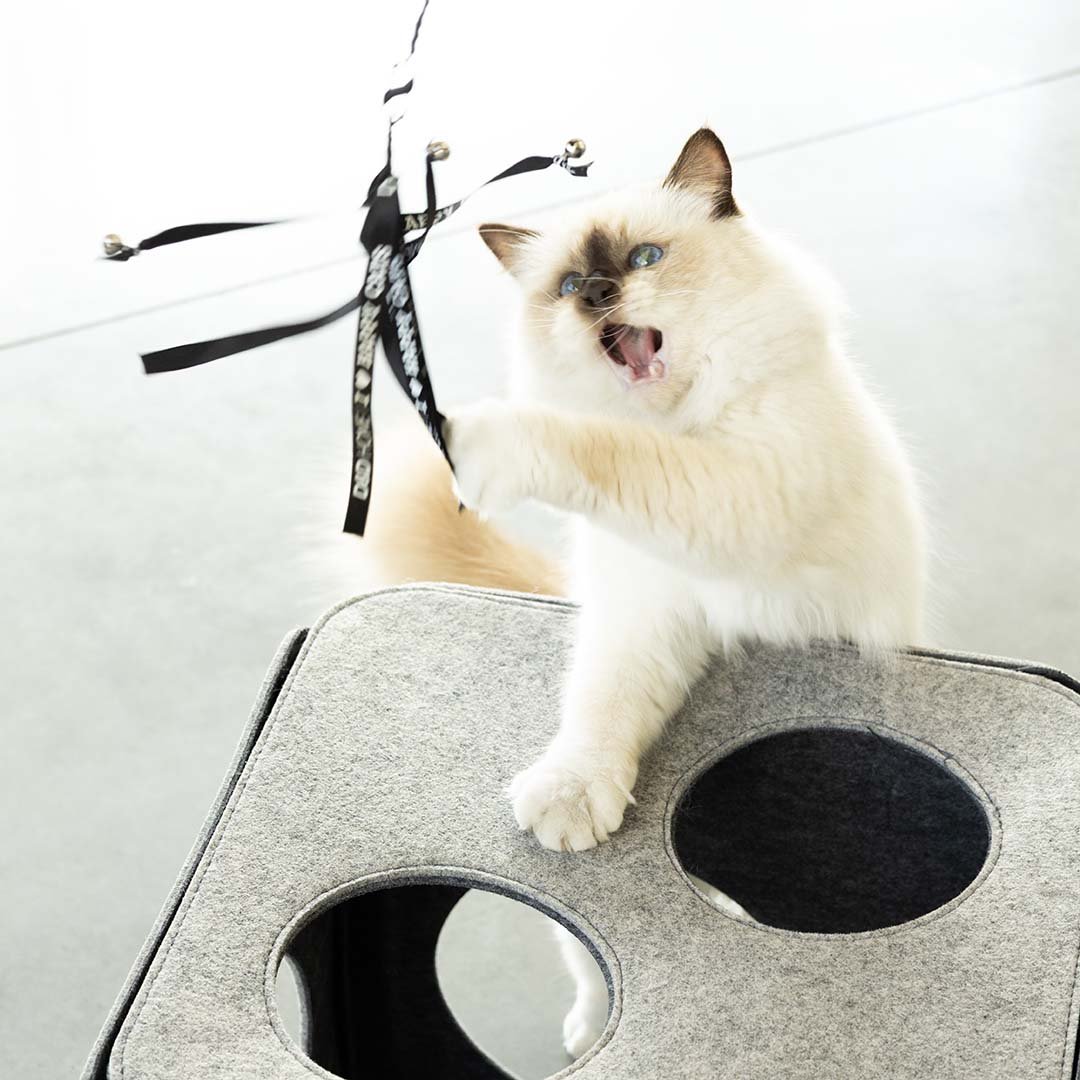 Navulling speelhengel CLAIRE Kattenspeelgoed D&D Home - I LOVE Happy Cats