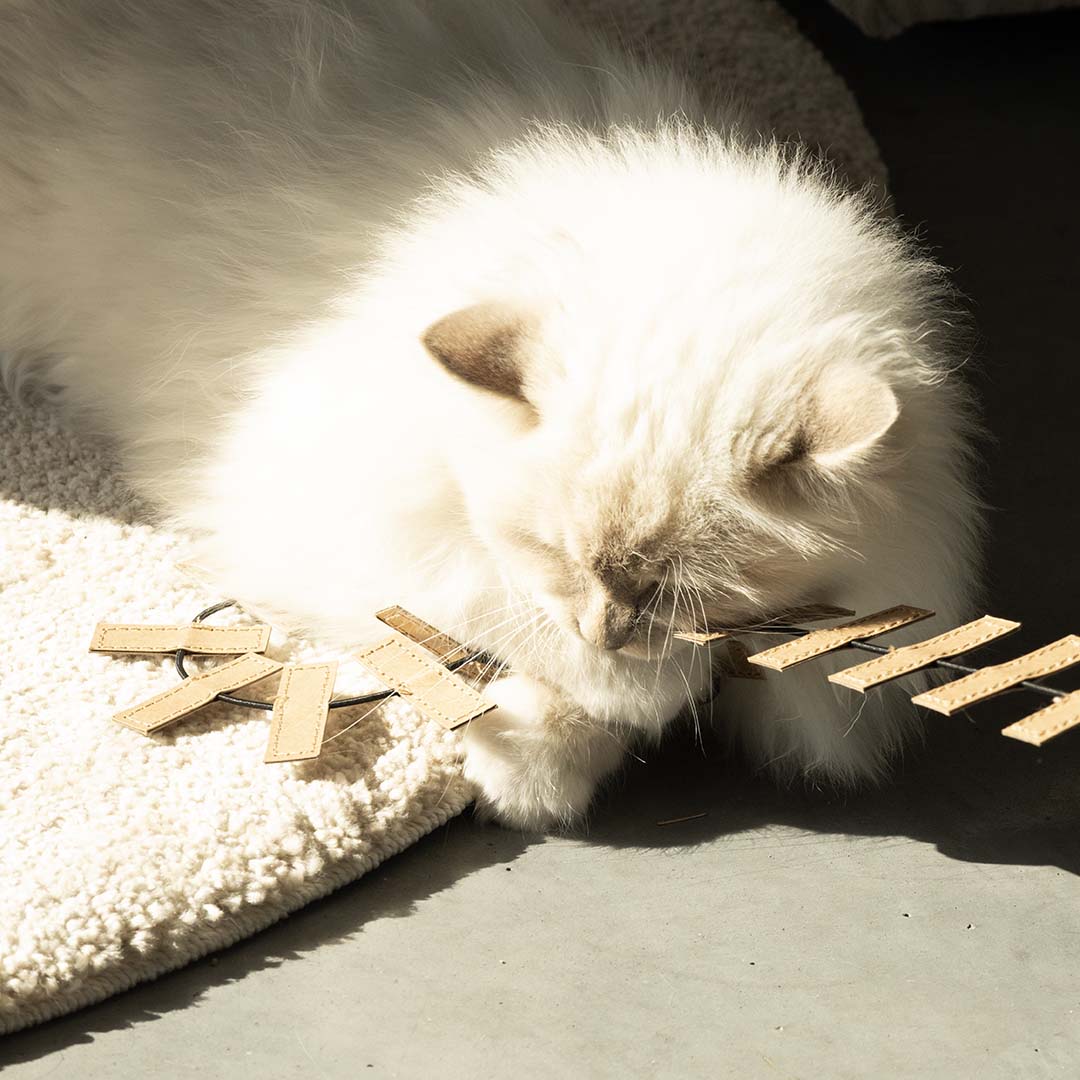 Navulling speelhengel COOPER Kattenspeelgoed D&D Home - I LOVE Happy Cats