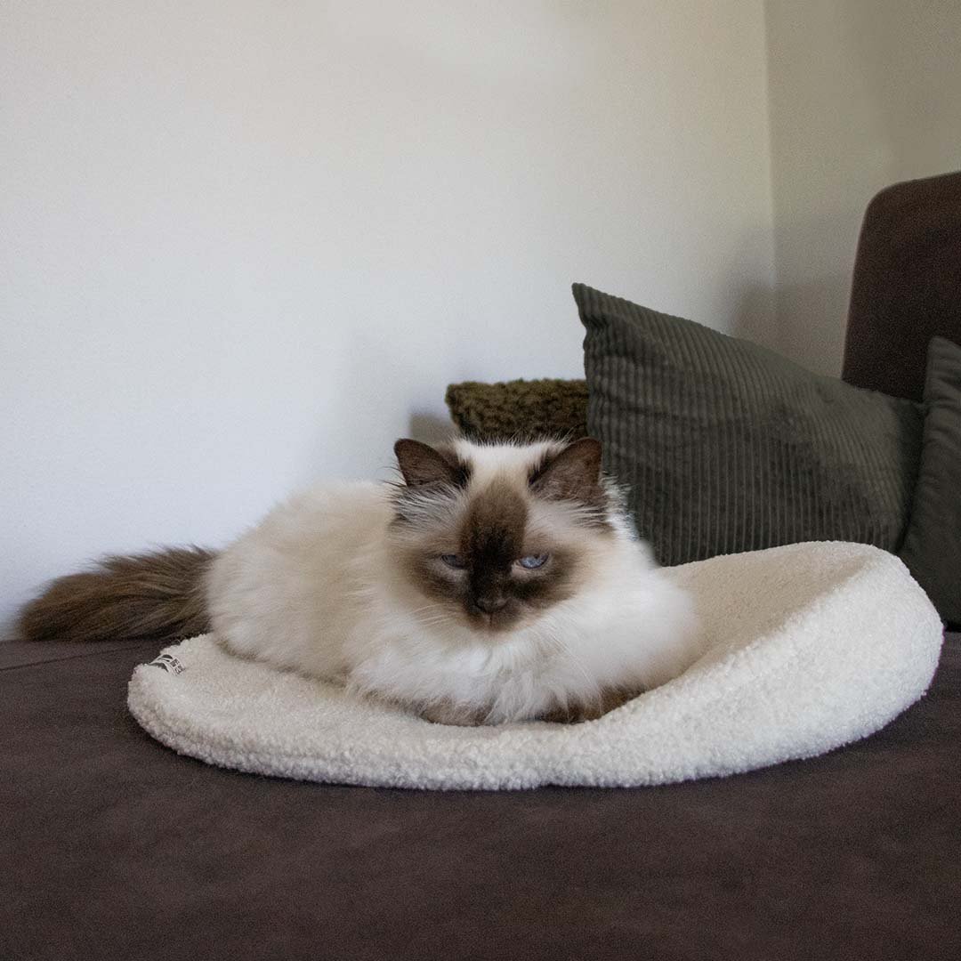 Plaidkussen - MANOU Kattenmanden D&D Home - I LOVE Happy Cats