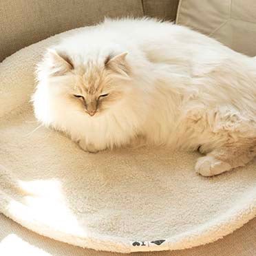 Plaidkussen - MANOU Kattenmanden D&D Home - I LOVE Happy Cats