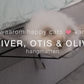OTIS - Wandhangmat