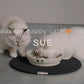 SUE - Slow feeder stip