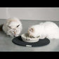 SUE - Slow feeder stip