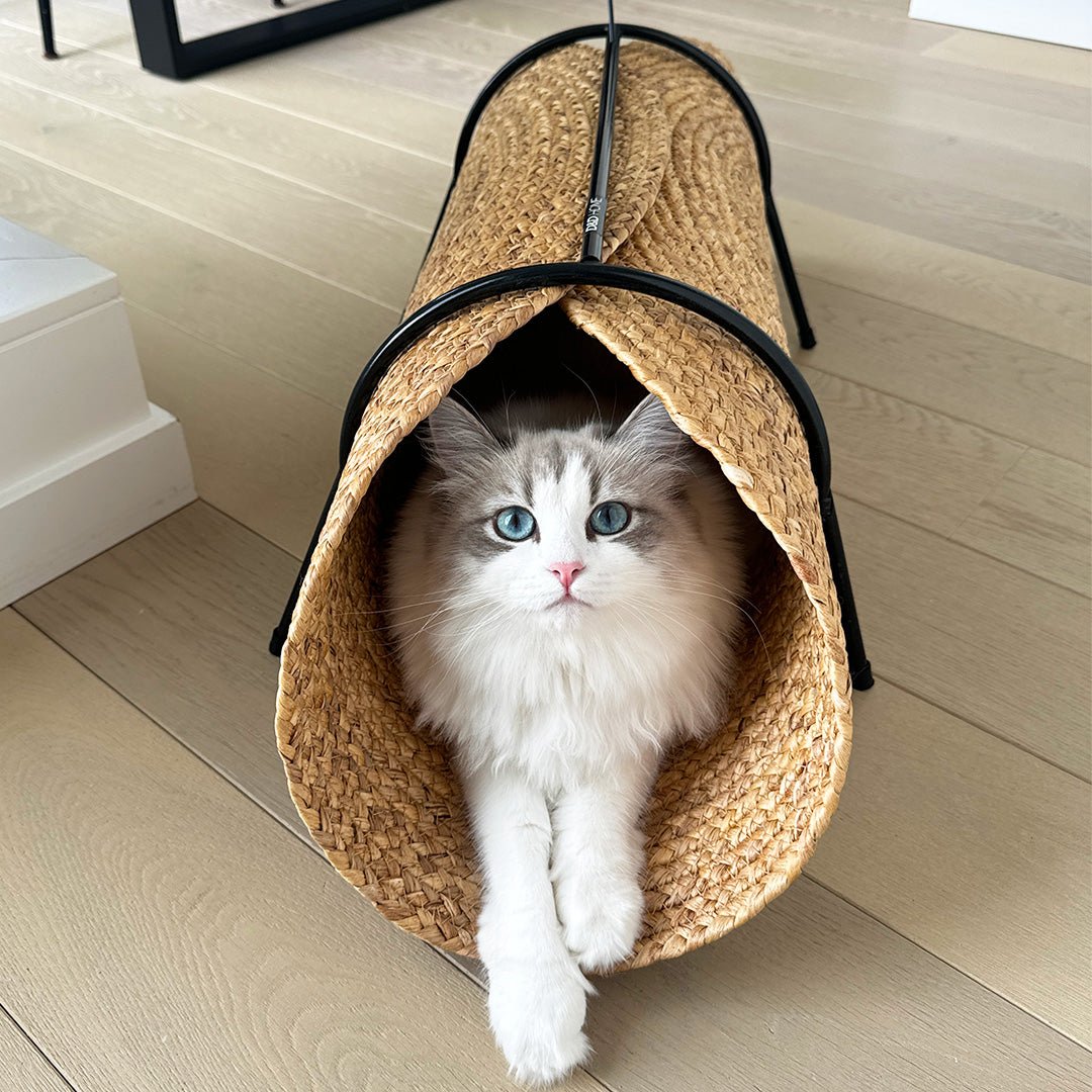 Reina katten speeltunnel Tunnel Design for pets