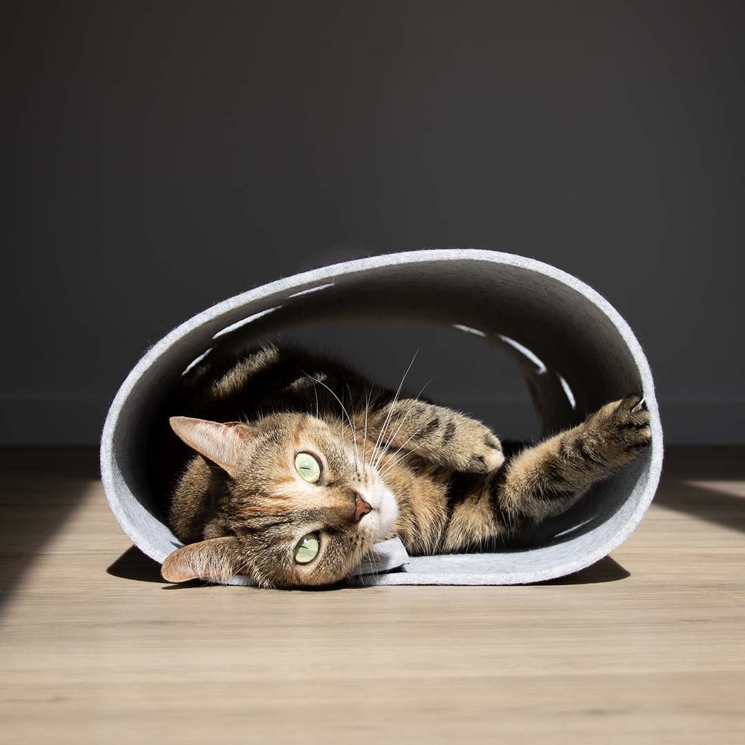 Speeltunnel LANA Tunnel D&D Home - I LOVE Happy Cats