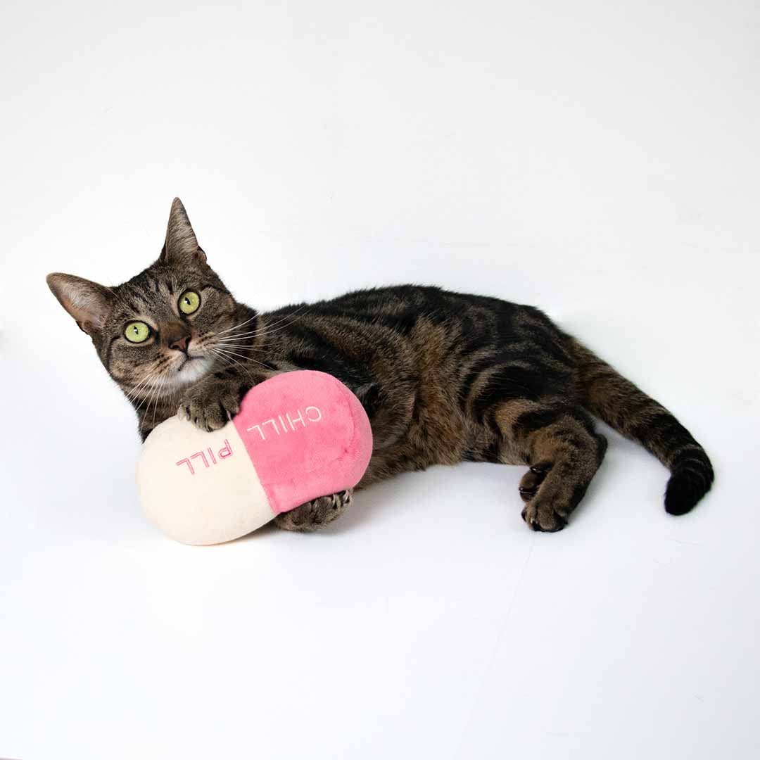 Trappelkussen CHILL PILL Kattenspeelgoed Coockoo