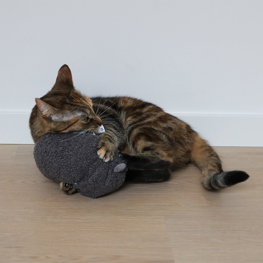 Trappelkussen Molly Kattenspeelgoed D&D Home