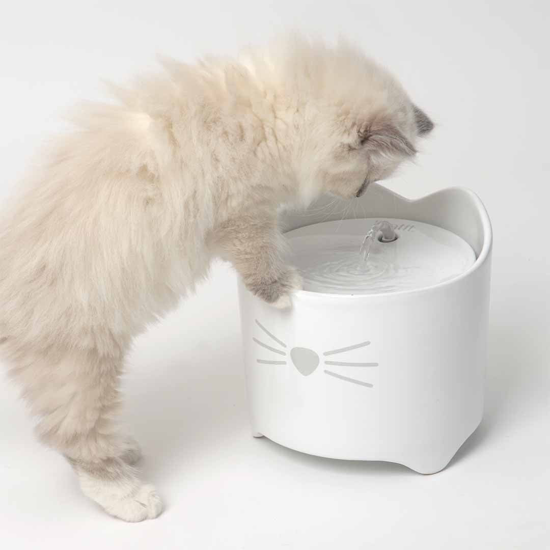 Vervangfilter Catit Pixi drinkfontein Filters Cat it