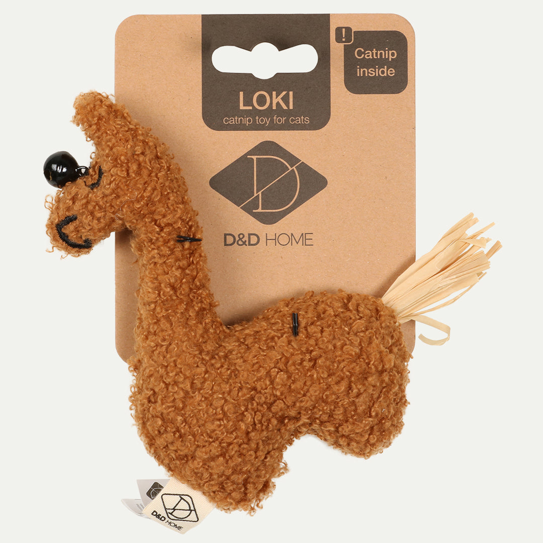 loki-kattenspeeltje1