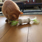 double-spinner-kattenspeeltje